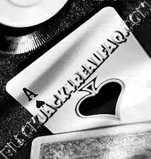 Blackjack for Cash by Software